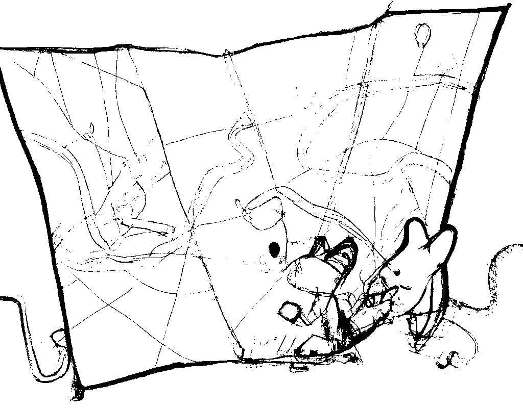 /plan d analyse statistique.webp